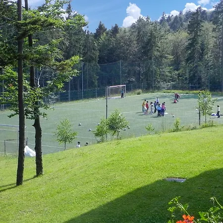 Beautiful Apartment In Pohorje *