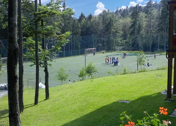 Stunning In Pohorje With Wifi *